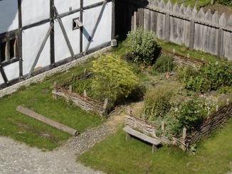 a herb garden next to a house